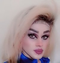 ميشا لعسل - Acompañantes transexual in Beirut