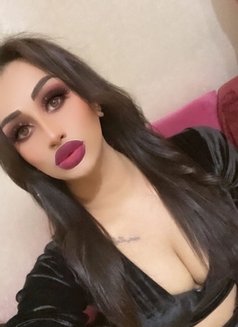 امل شيميل ١٩ سنتي - Transsexual escort in İstanbul Photo 1 of 7