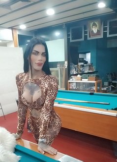 رشا - Intérprete transexual de adultos in Beirut Photo 5 of 7