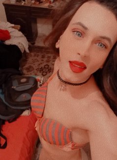 مرسلين - Transsexual escort in Cairo Photo 3 of 3