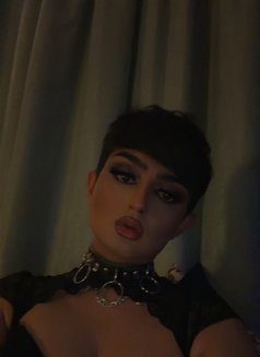 ⚜️𝓗𝓲𝓰𝓱 𝓬𝓵𝓪𝓼𝓼⚜️𝓕𝓪𝓶𝓮 𝓫𝓸𝔂⚜️ - Male escort in Al Manama Photo 12 of 12