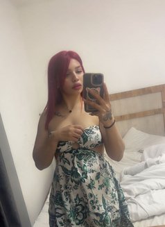 سمارة - puta in Erbil Photo 10 of 16