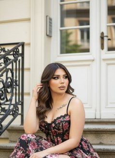 سمارة - puta in Erbil Photo 13 of 16