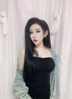 梅林娜 - Transsexual escort in Beijing Photo 21 of 21