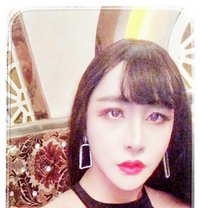 气质精致女王 - Transsexual escort in Chengdu