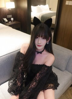 中国大迪克 - Transsexual escort in Shenzhen Photo 12 of 12
