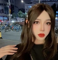 温馨彤 - Transsexual escort in Hangzhou