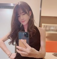 骚琪琪 - Transsexual escort in Shenzhen