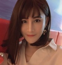 骚琪琪 - Transsexual escort in Shenzhen