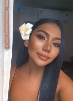 แมวหีสีชมพูบริการเต็มรูปแบบ - puta in Phuket Photo 8 of 12