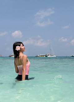 ฟิล์ม - Transsexual escort in Chiang Mai Photo 7 of 10