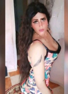 انجي الدلوعه - Transsexual escort in Cairo Photo 15 of 15