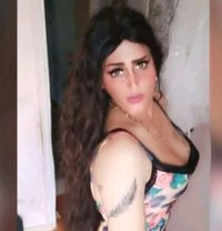 انجي الدلوعه - Acompañantes transexual in Cairo