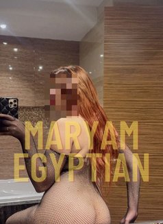 إدخل شوف فيديو الرقص بالاحمر الجديد - puta in Al Manama Photo 11 of 12