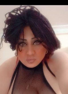 ماليكااااااااا ماليا - Transsexual escort in Cairo Photo 1 of 22