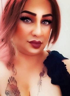 ماليكااااااااا ماليا - Transsexual escort in Cairo Photo 10 of 22