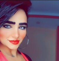 شوشو - Transsexual escort in Cairo