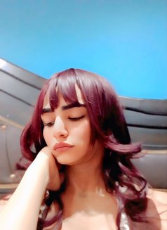 شوشو - Transsexual escort in Cairo Photo 30 of 30