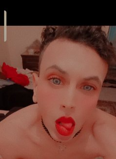 مارو - Acompañantes transexual in Cairo Photo 1 of 5