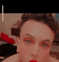 مارو - Acompañantes transexual in Cairo