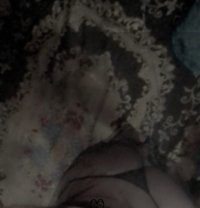 كرملة - Acompañantes transexual in Cairo