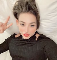 عفريته المملكة العربية - Acompañantes transexual in Cairo
