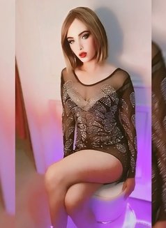 شاجن - Transsexual escort in Cairo Photo 25 of 26