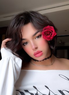 لَـمَـار ♡ - Male escort in Riyadh Photo 1 of 21