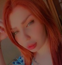 سمارة - companion in Erbil