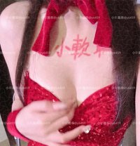 浪漫島 - escort in Taipei