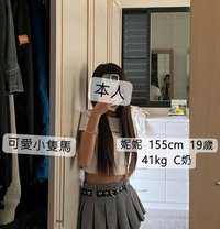 台灣約正妹找咪醬 - escort agency in Taipei