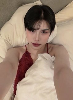 โยชิ จากมา - Acompañantes transexual in Amman Photo 1 of 4