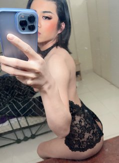 กาแฟ - Transsexual escort in Amman Photo 7 of 7