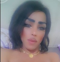 دكتورة دلع - Acompañantes transexual in Beirut