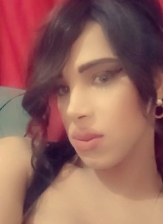 دكتورة دلع - Transsexual escort in Beirut Photo 5 of 5