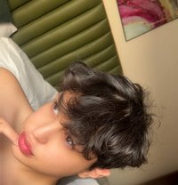 دلوع لبناني - Transsexual escort in Beirut