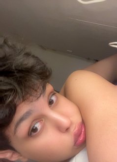 دلوع لبناني - Transsexual escort in Beirut Photo 2 of 3