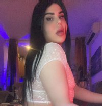 ميمو - Transsexual escort in Beirut