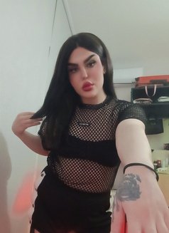 ميمو - Transsexual escort in Beirut Photo 1 of 2