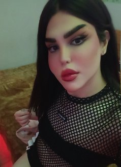 ميمو - Transsexual escort in Beirut Photo 2 of 2