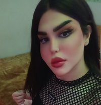 ميمو - Acompañantes transexual in Beirut