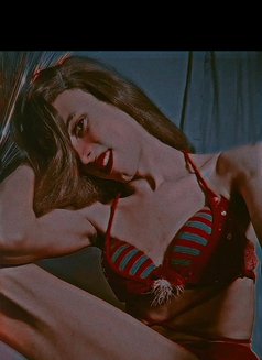 مرسلين - Transsexual escort in Cairo Photo 1 of 2