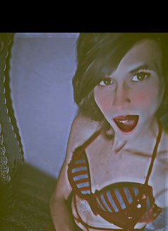 مرسلين - Transsexual escort in Cairo Photo 2 of 2