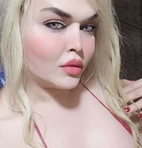 Zina shemale - Acompañantes transexual in Toronto