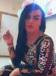 شيرو - Transsexual escort agency in Erbil Photo 1 of 1