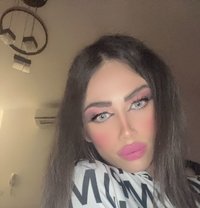 وتين - Transsexual escort agency in Erbil