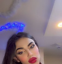 وتين - Agencia de acompañantes transexuales in Erbil