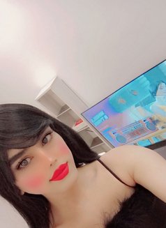 دلوع مسقط - Transsexual escort in Muscat Photo 1 of 1