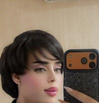 كتكوت مسقط - Acompañantes transexual in Muscat