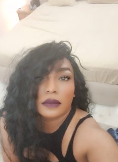 كاتي دلوع - Transsexual escort in Muscat Photo 1 of 2